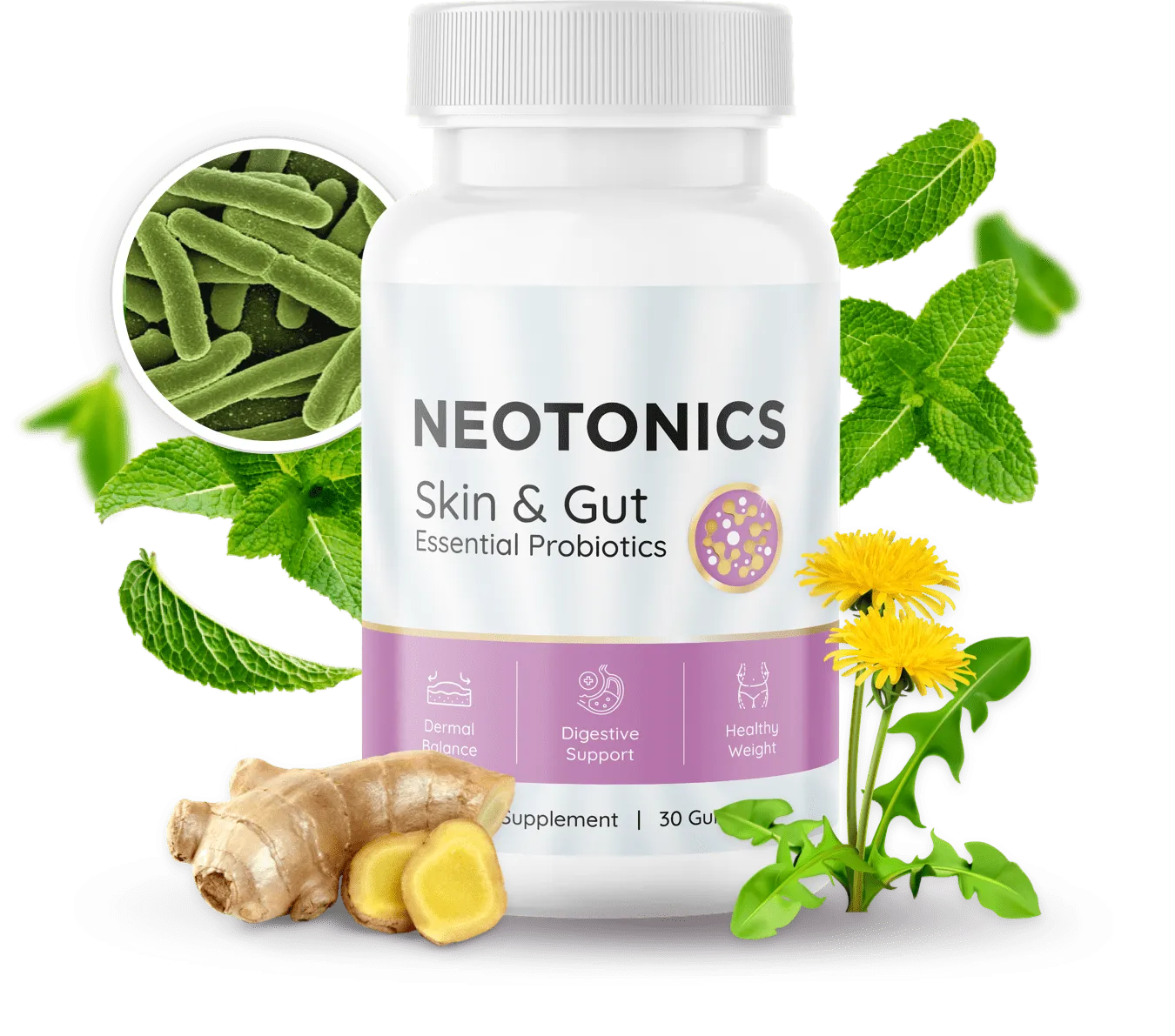 Neotonics supplement bottle official website
